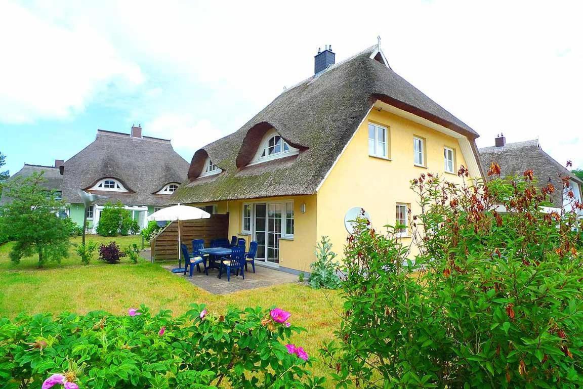 Ferienhaus An Der Alten Waldschaenke Ws-11A บอร์น ภายนอก รูปภาพ